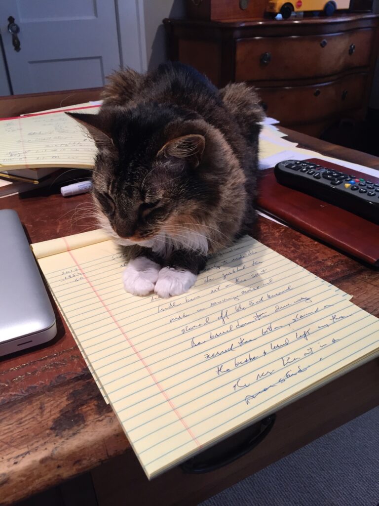 Petunia the cat edits first draft of "Road Trip."
